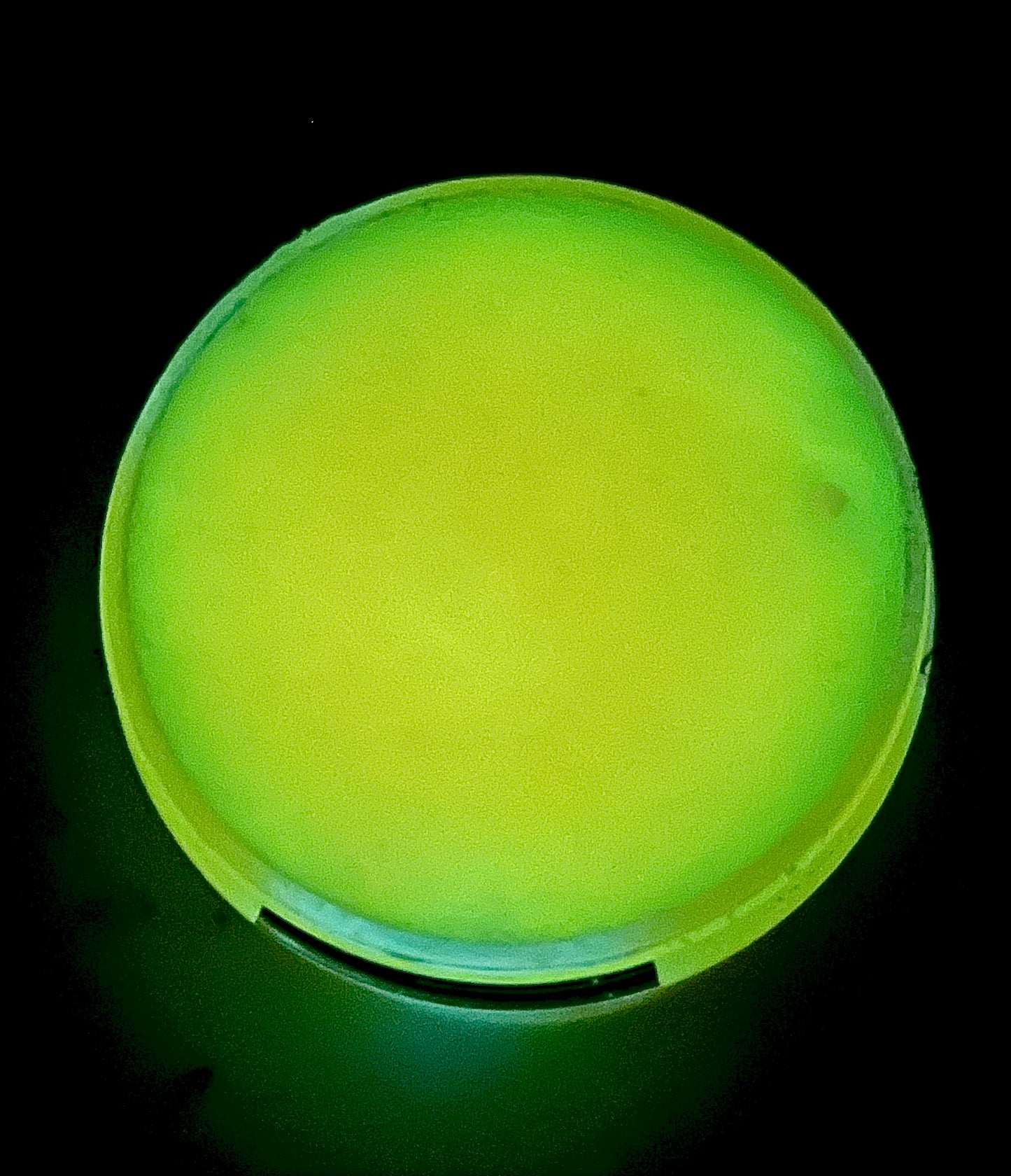 Trick or Treat Glow in the dark Exfoliating Sugar Scrub