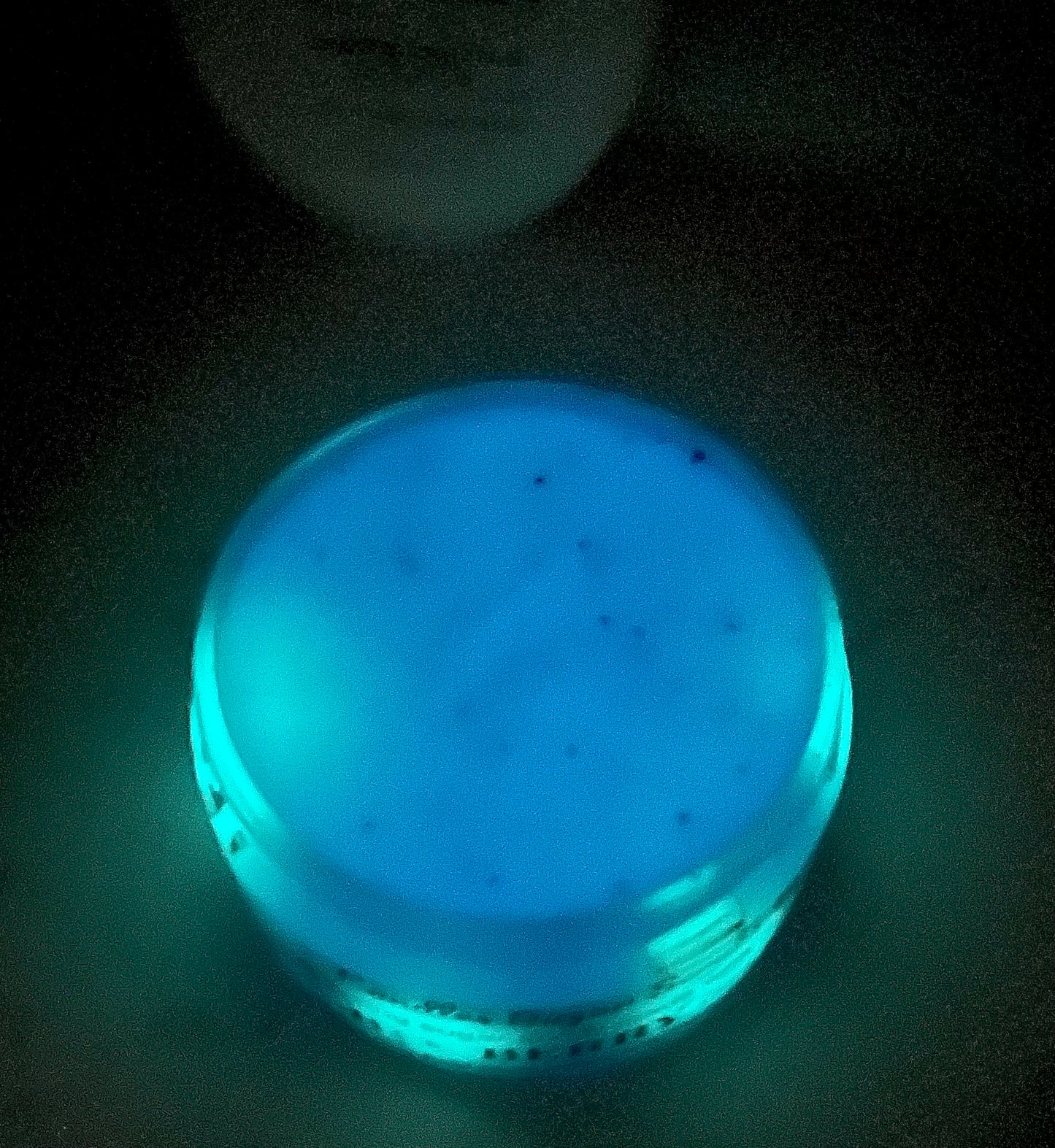 Boo Berry Glow in the dark Exfoliating Sugar Scrub